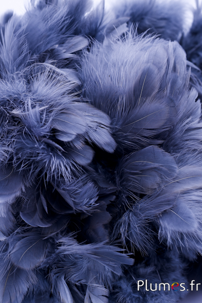 Poule - 5-9 cm - anthracite